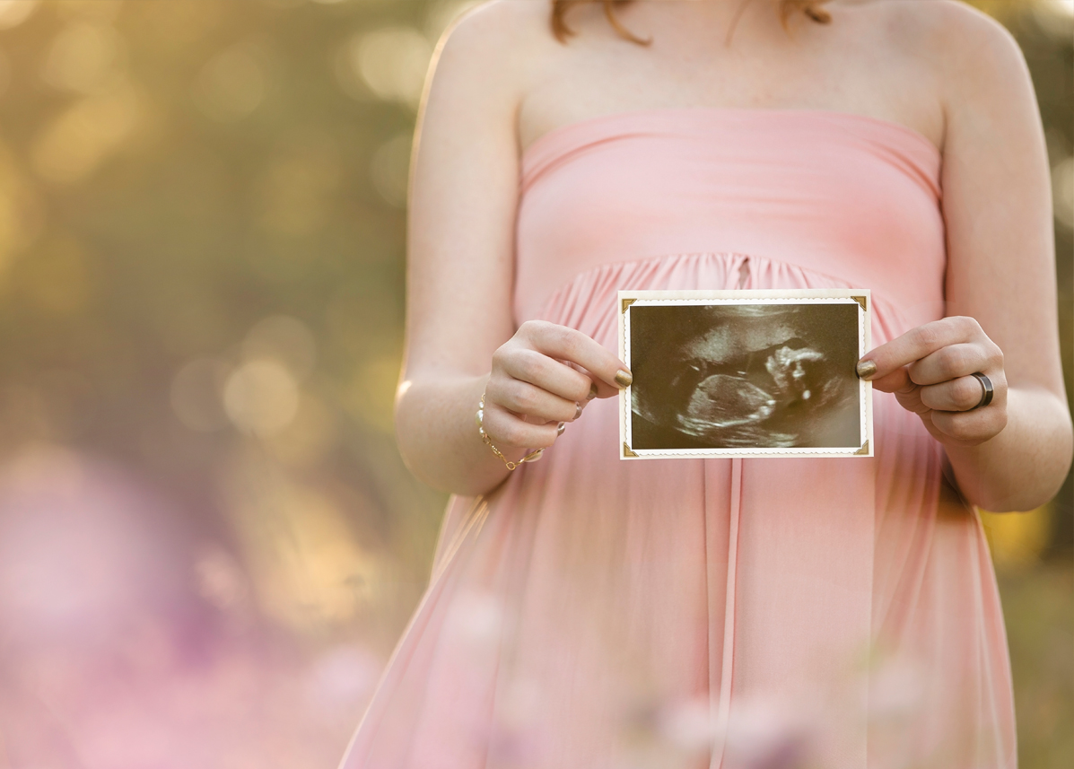 howell michigan maternity portraits photographer