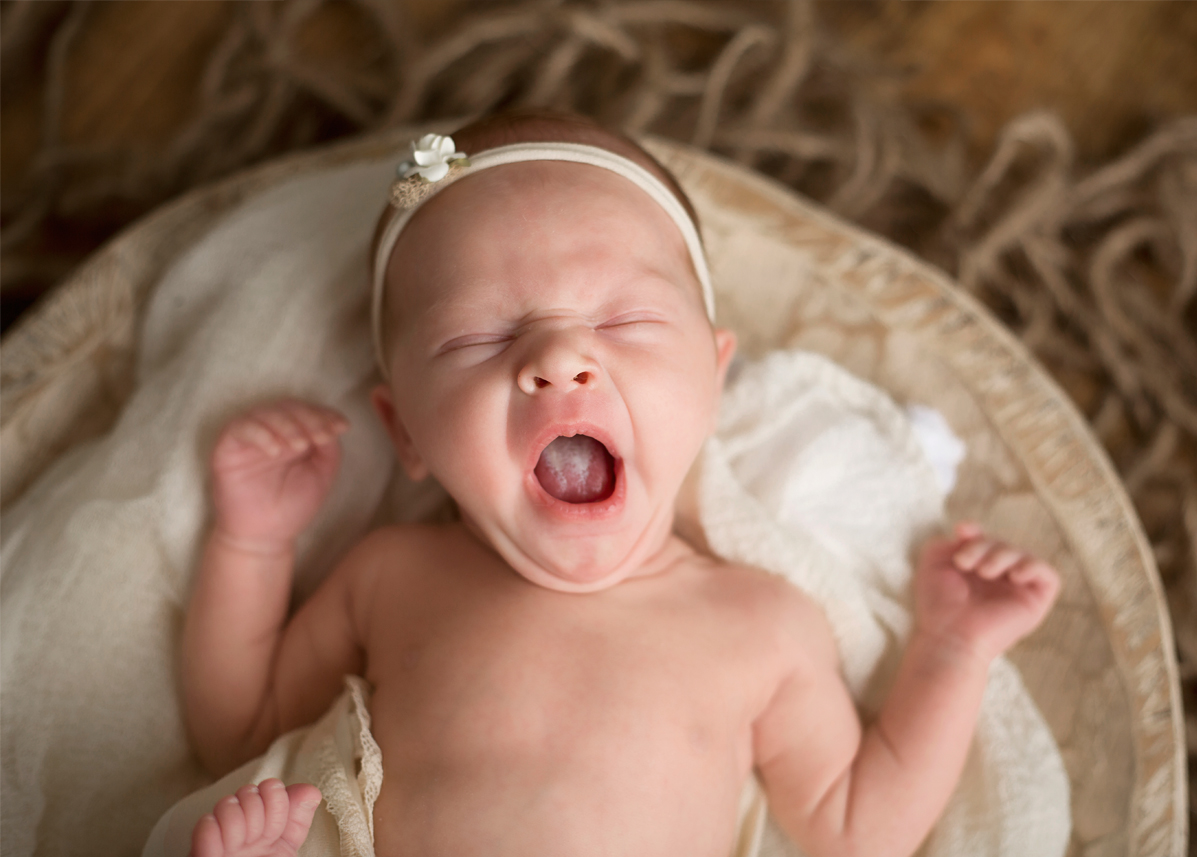 milford michigan newborn photographer