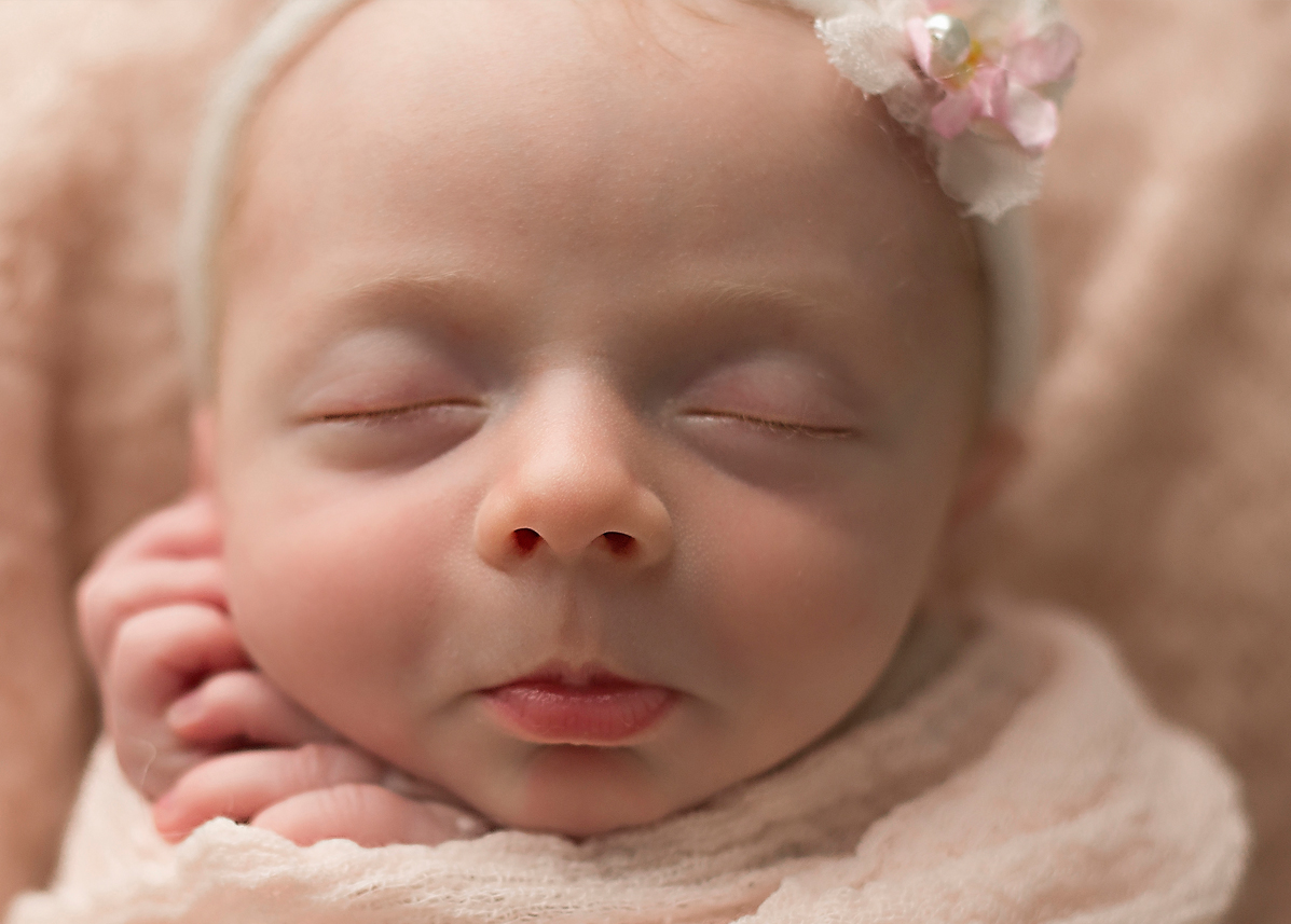 newborn photographer hartland michigan