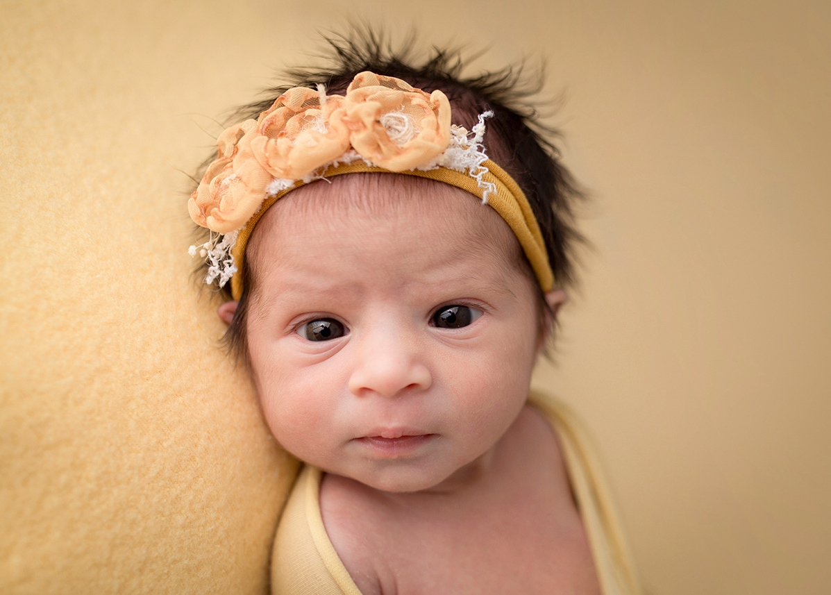 south lyon newborn photographer 2021