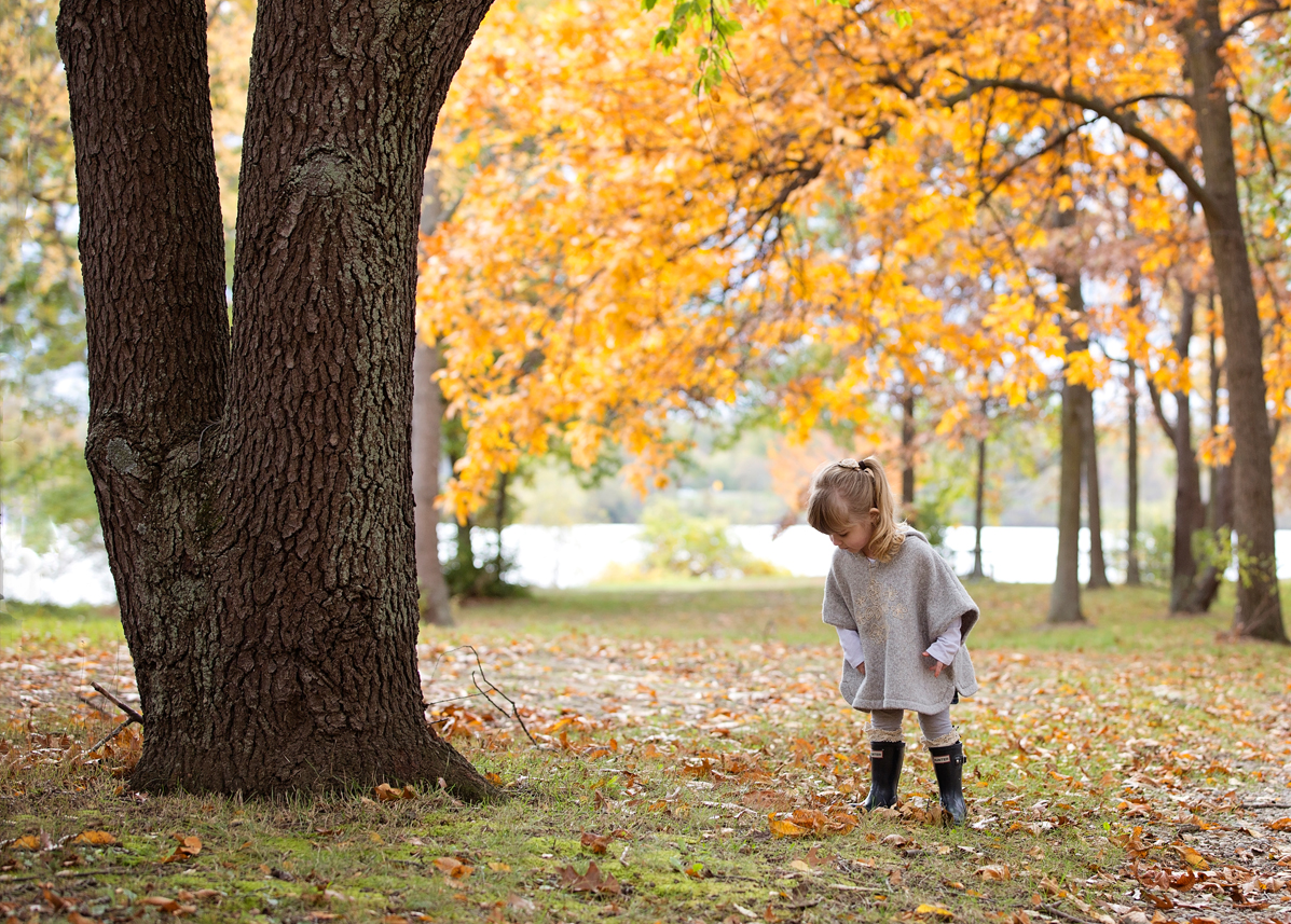 family portraits howell michigan