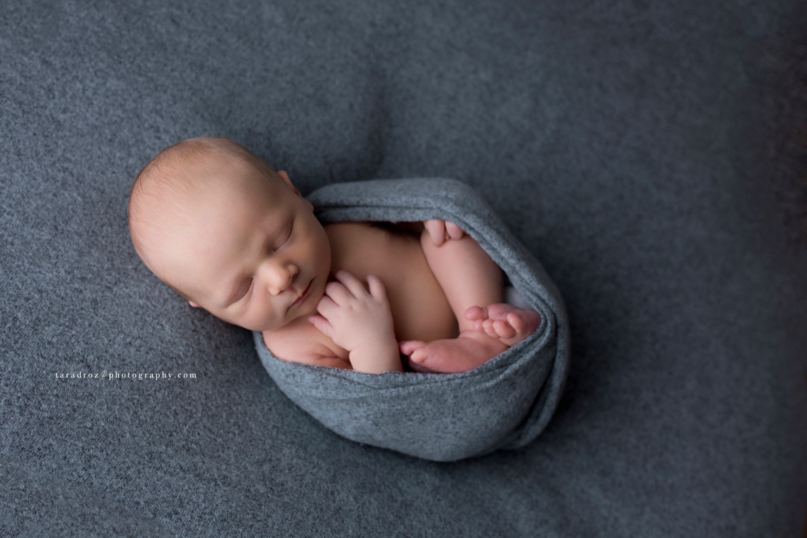 Newborn Charlie { Howell Brighton Ann Arbor Newborn Photographer Portraits }