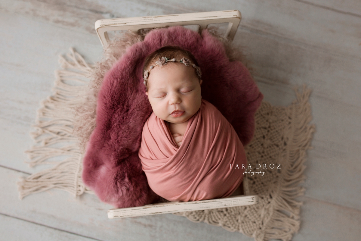 south lyon newborn photographer livingston county_WEB