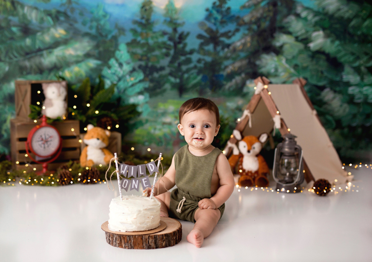 wild one cake smash one year portraits photographer milford michigan south lyon wixom mi howell