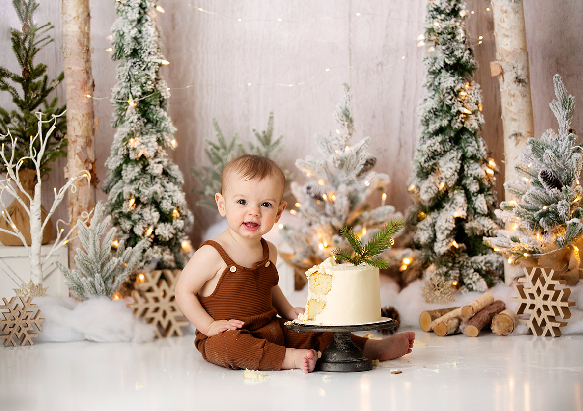 Winter Onederland Cake Smash Session - Metro Detroit Cake Smash Photogher - Lansing - Howell Michigan